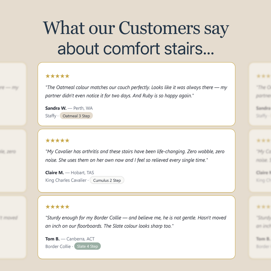 CloudPaws Comfort Stairs - Small Dog