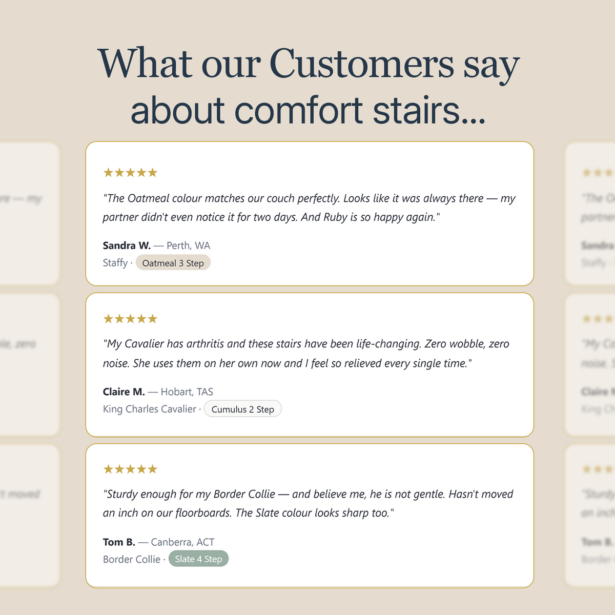 CloudPaws Comfort Stairs - Small Dog