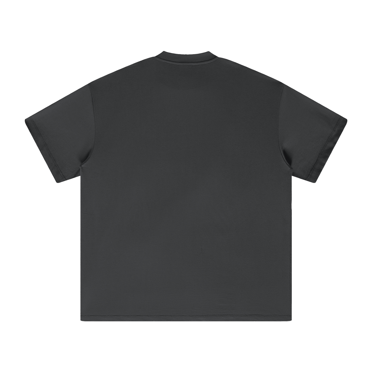 Unisex heavyweight Earth Tone T-shirt in Carbon Grey – back product view