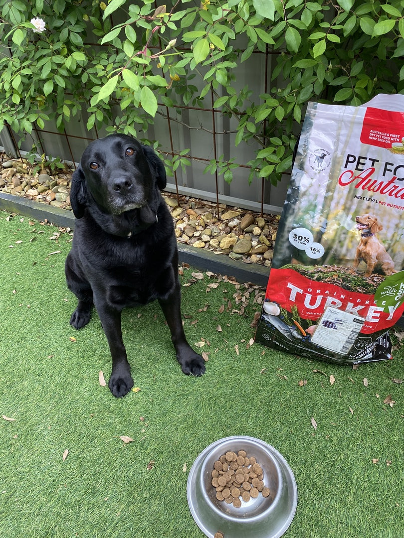 Turkey Dog Food Collective