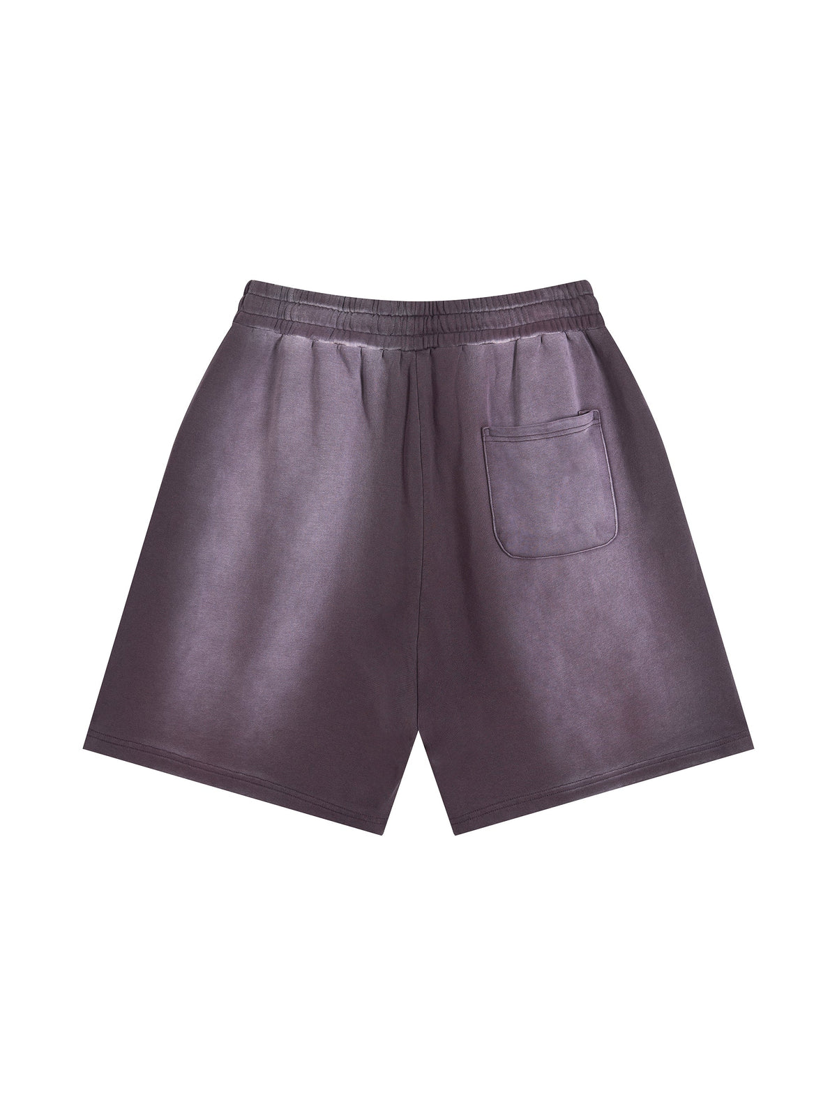 Sun-Faded Distressed Shorts