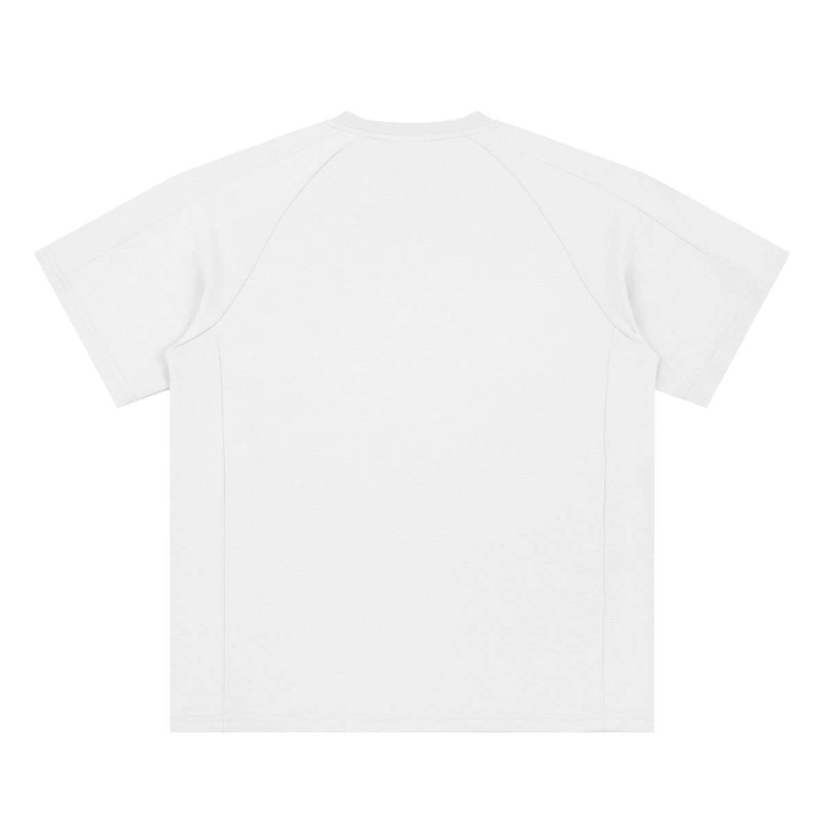 Unisex Oversized Paneled Raglan T-Shirt gallery view