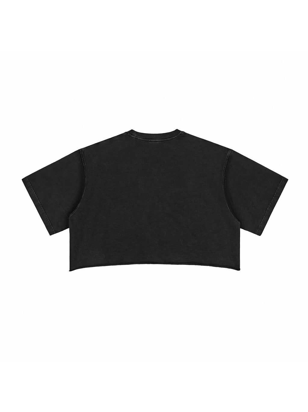Snow Washed Raw Edge Crop Top