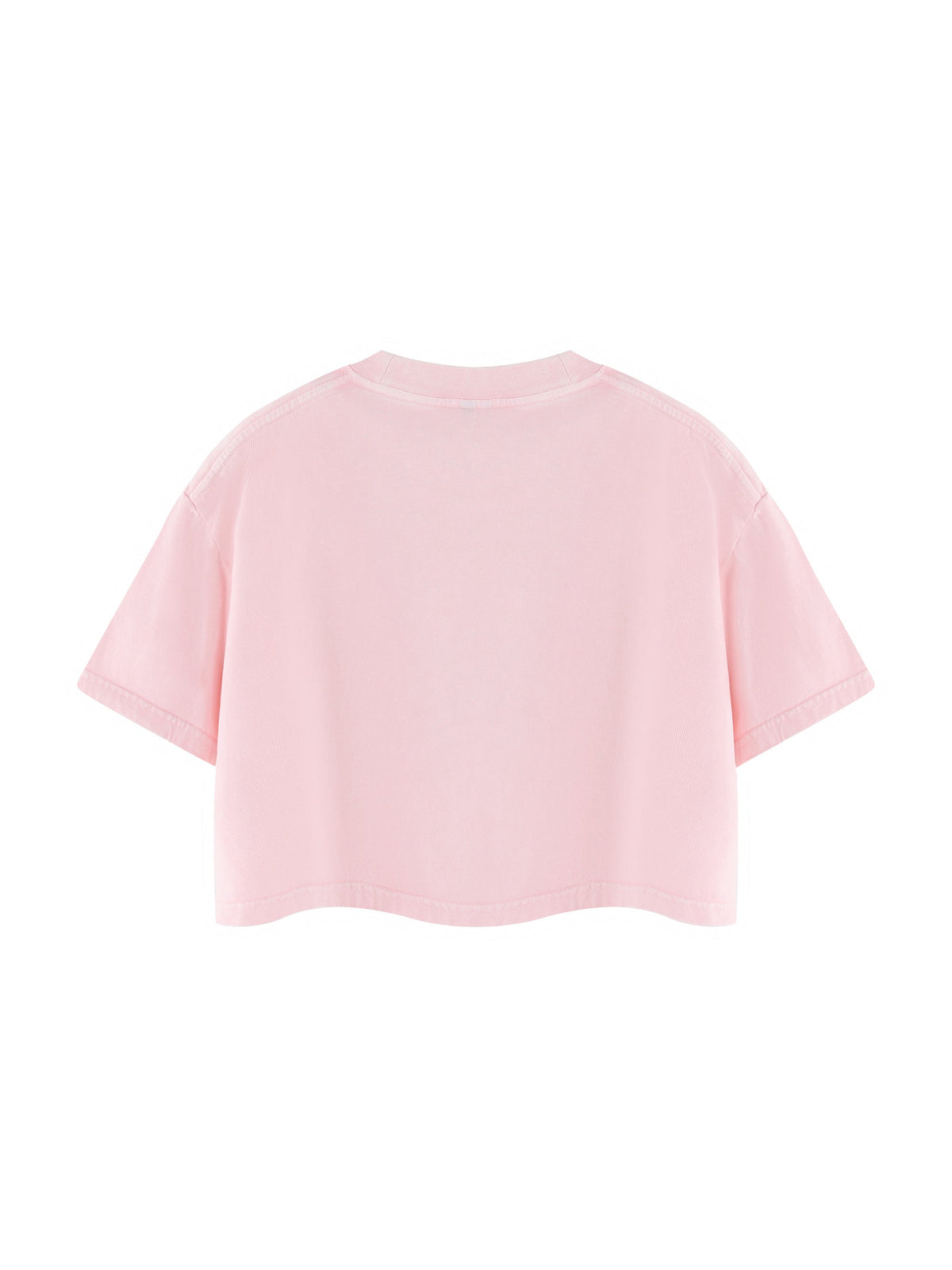 Women's Mineral Wash Cotton Crop T-Shirt