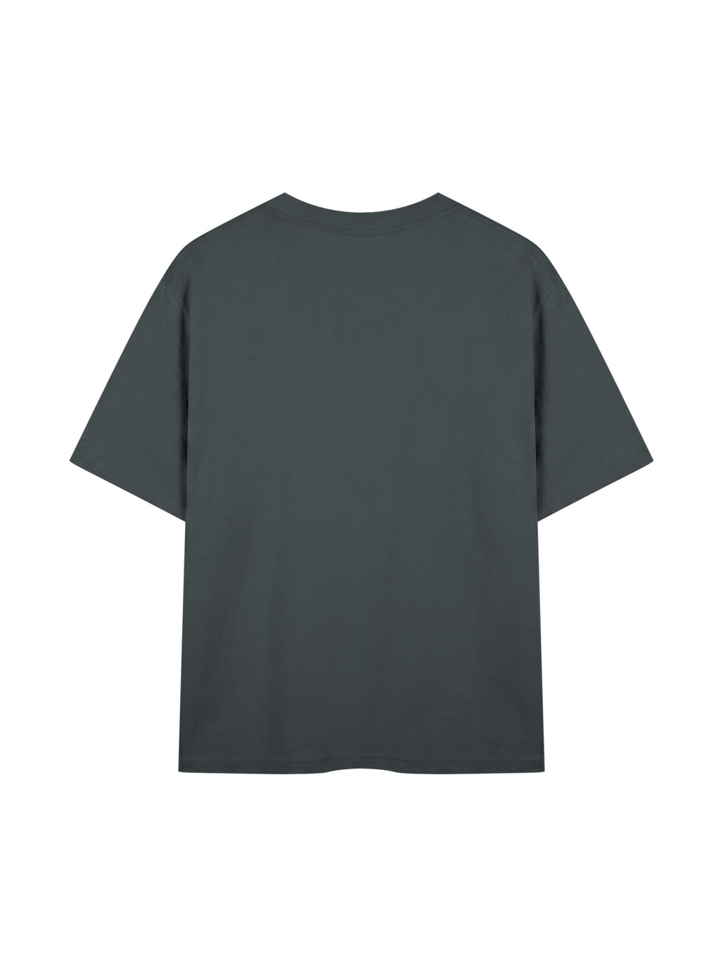 Unisex Mid-Weight Cotton T-Shirt