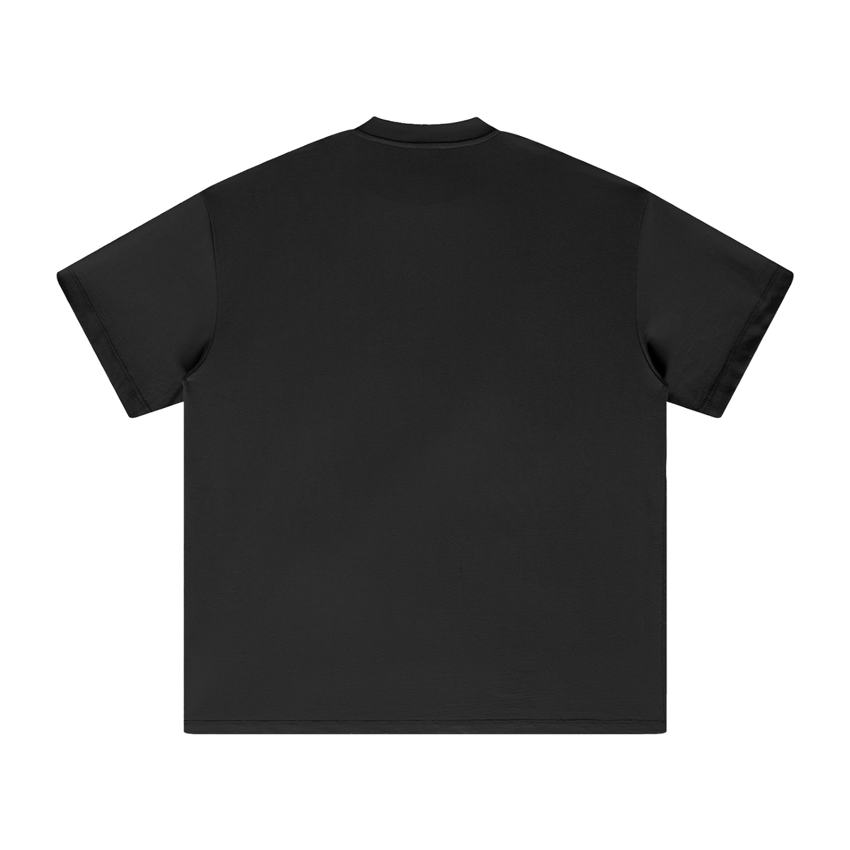 Unisex heavyweight Earth Tone T-shirt in Black – back product view