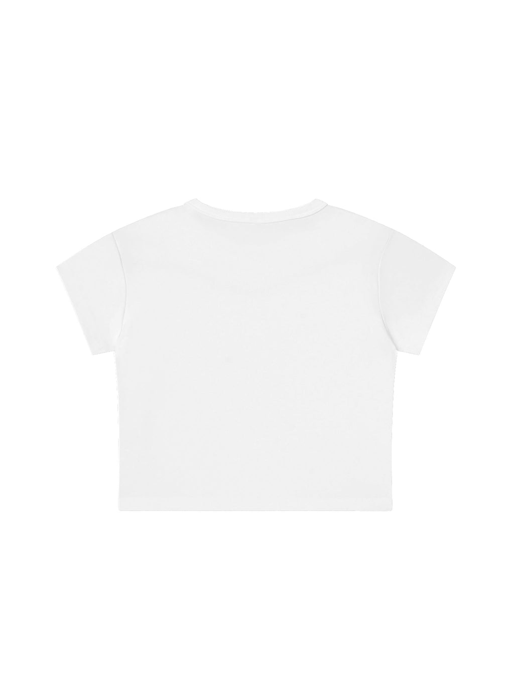 Snow Washed Crop Top