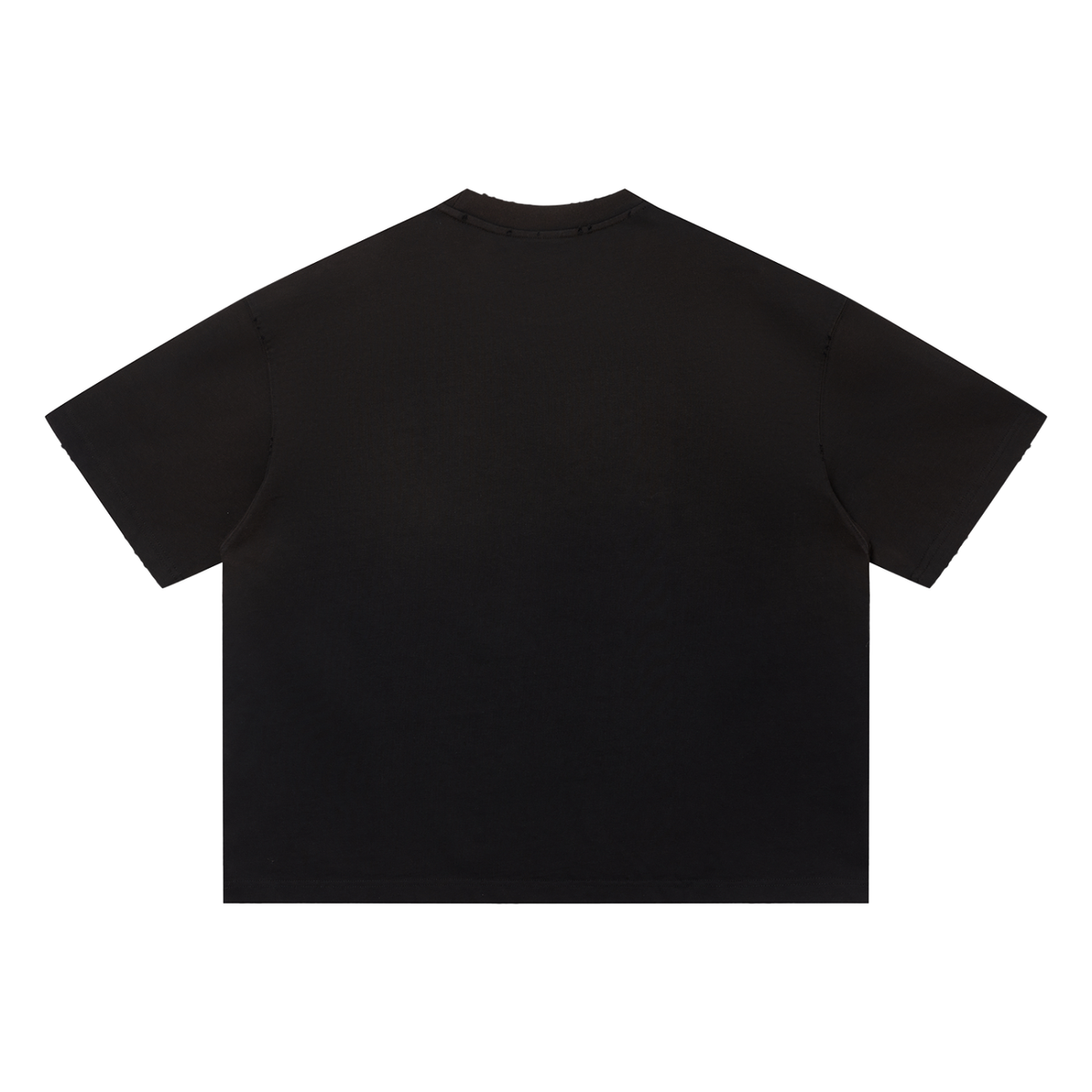 Unisex Sun Fade Distressed Boxy T-Shirt
