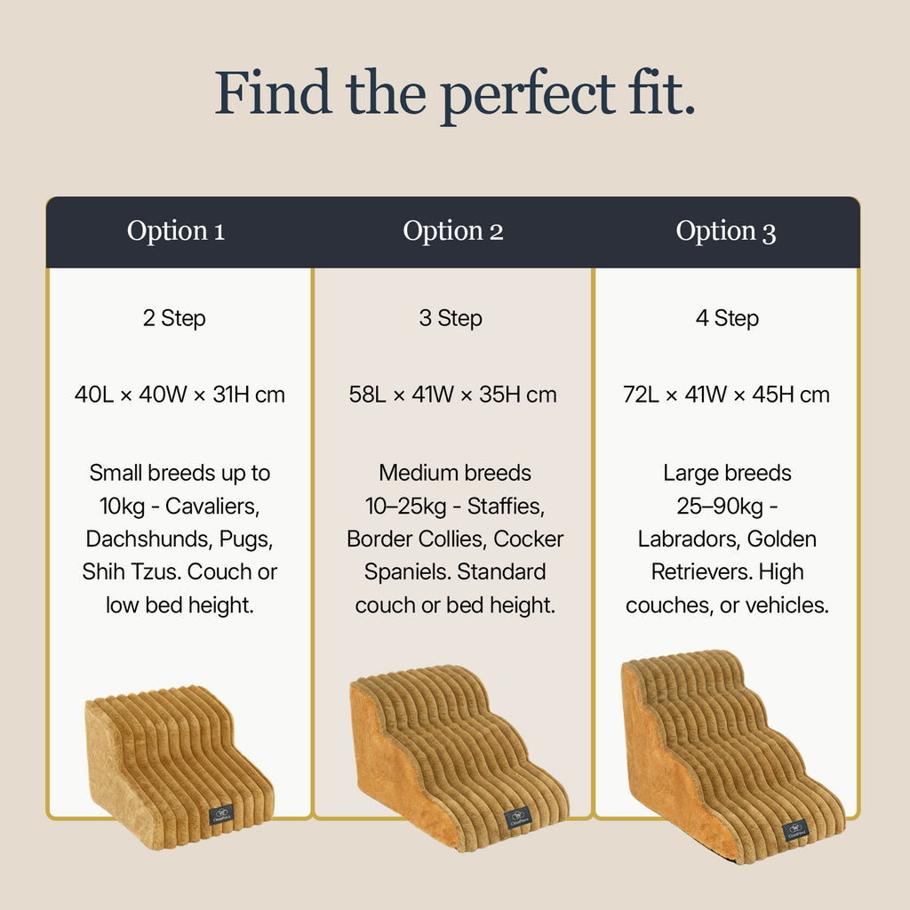 CloudPaws Comfort Stairs - Small Dog