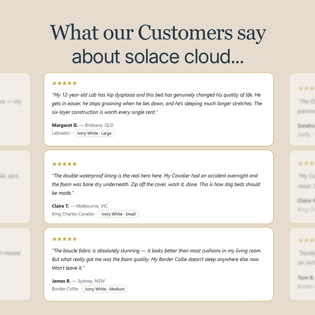 The Solace Cloud by CloudPaws
