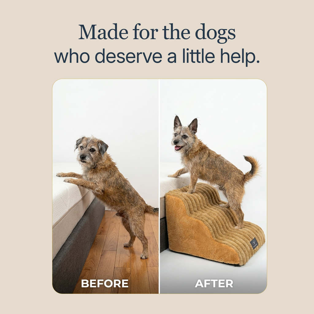 CloudPaws Comfort Stairs - Small Dog