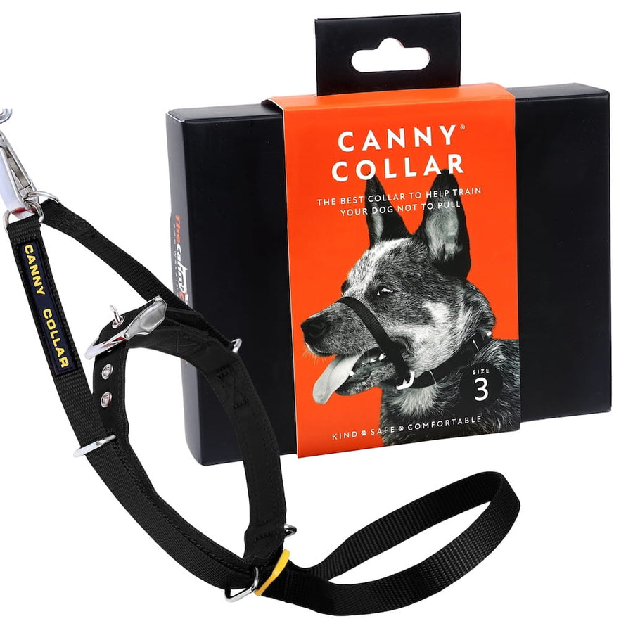 Dog Leads & Collars