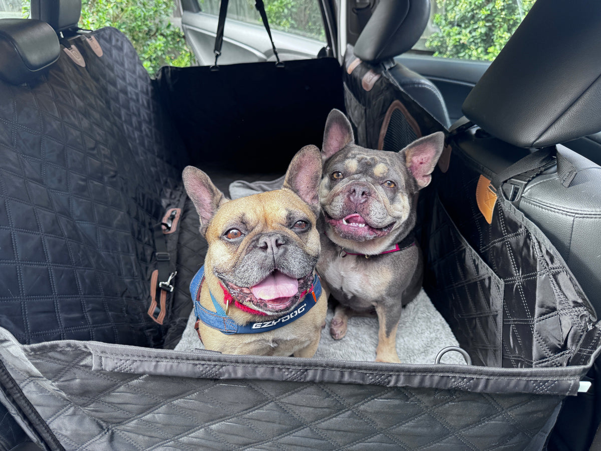 Car Seat Protector for Pets | Heavy Duty Hard-base Waterproof Dog Seat Cover