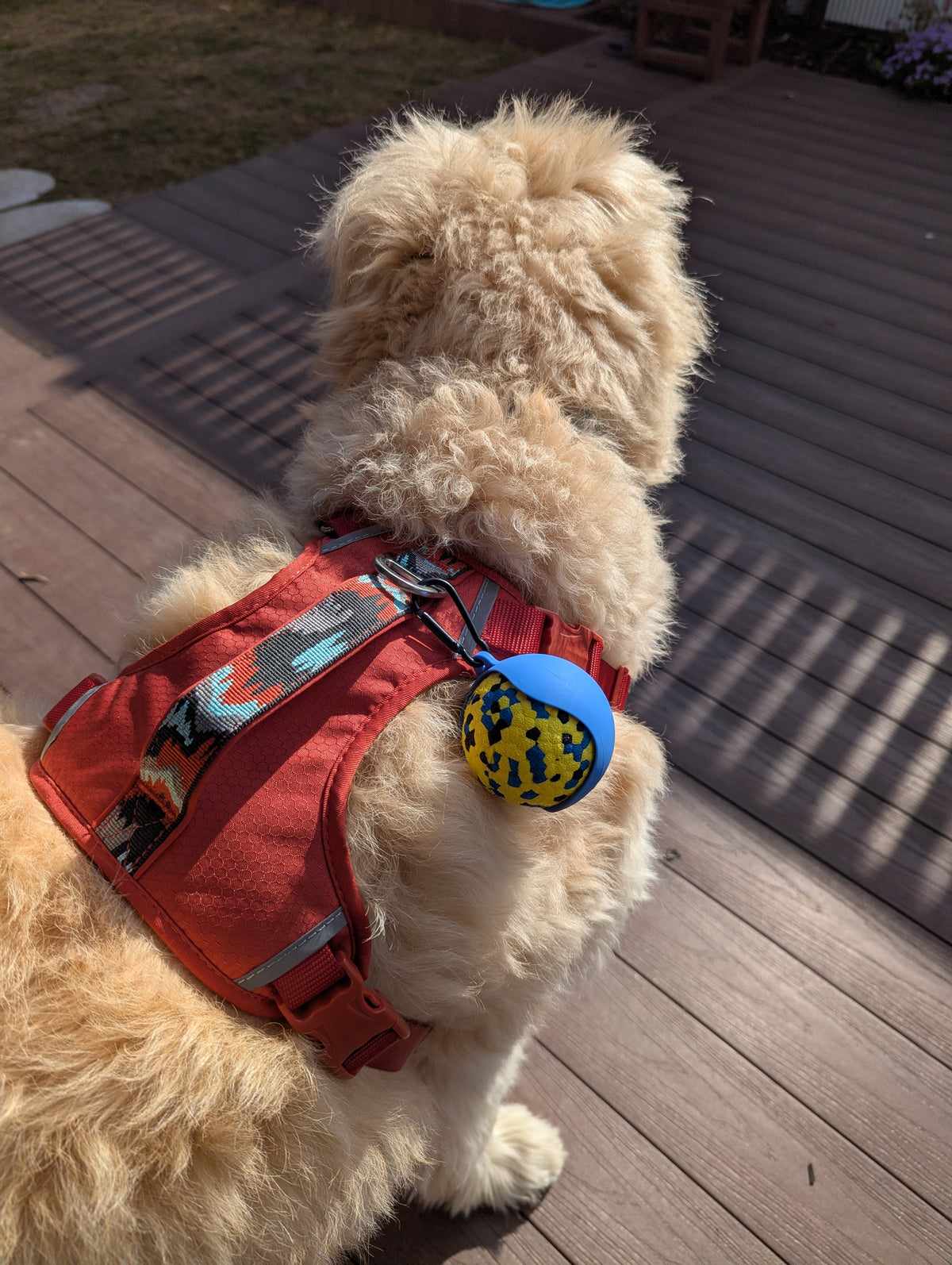 Silicone PouncePup Ball Holder for Leash or Bag