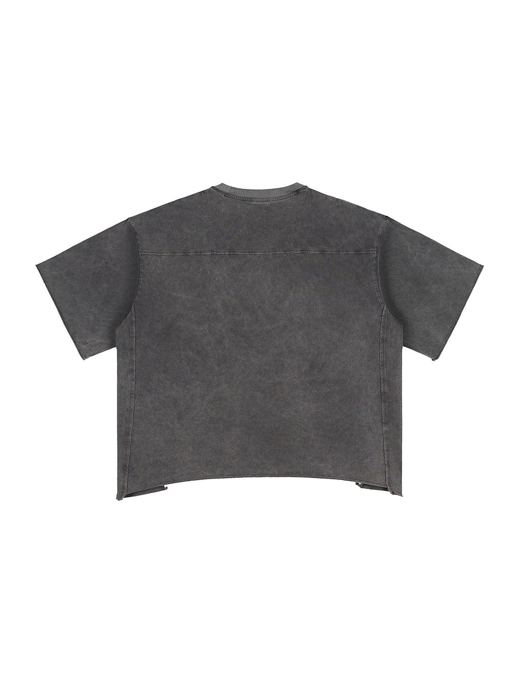 Raw Edge Snow Washed Boxy T-Shirt gallery image 2