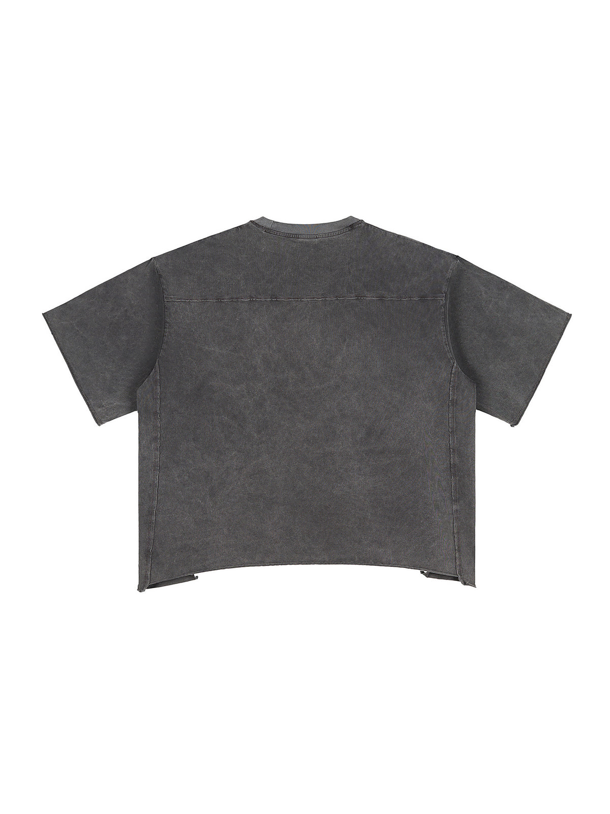 Raw Edge Snow Washed Boxy T-Shirt gallery image 2