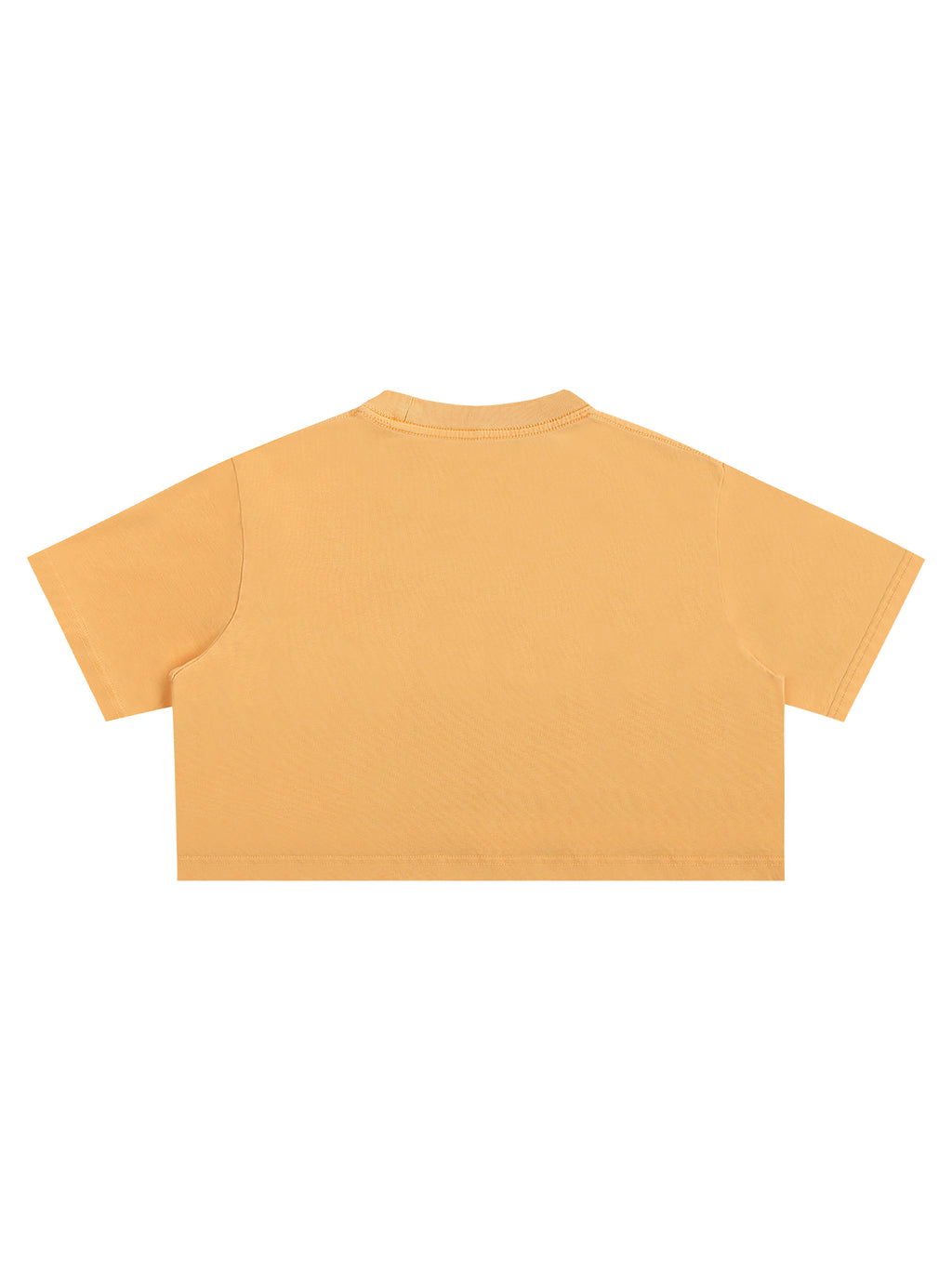 Snow Washed Crop Top source image 21