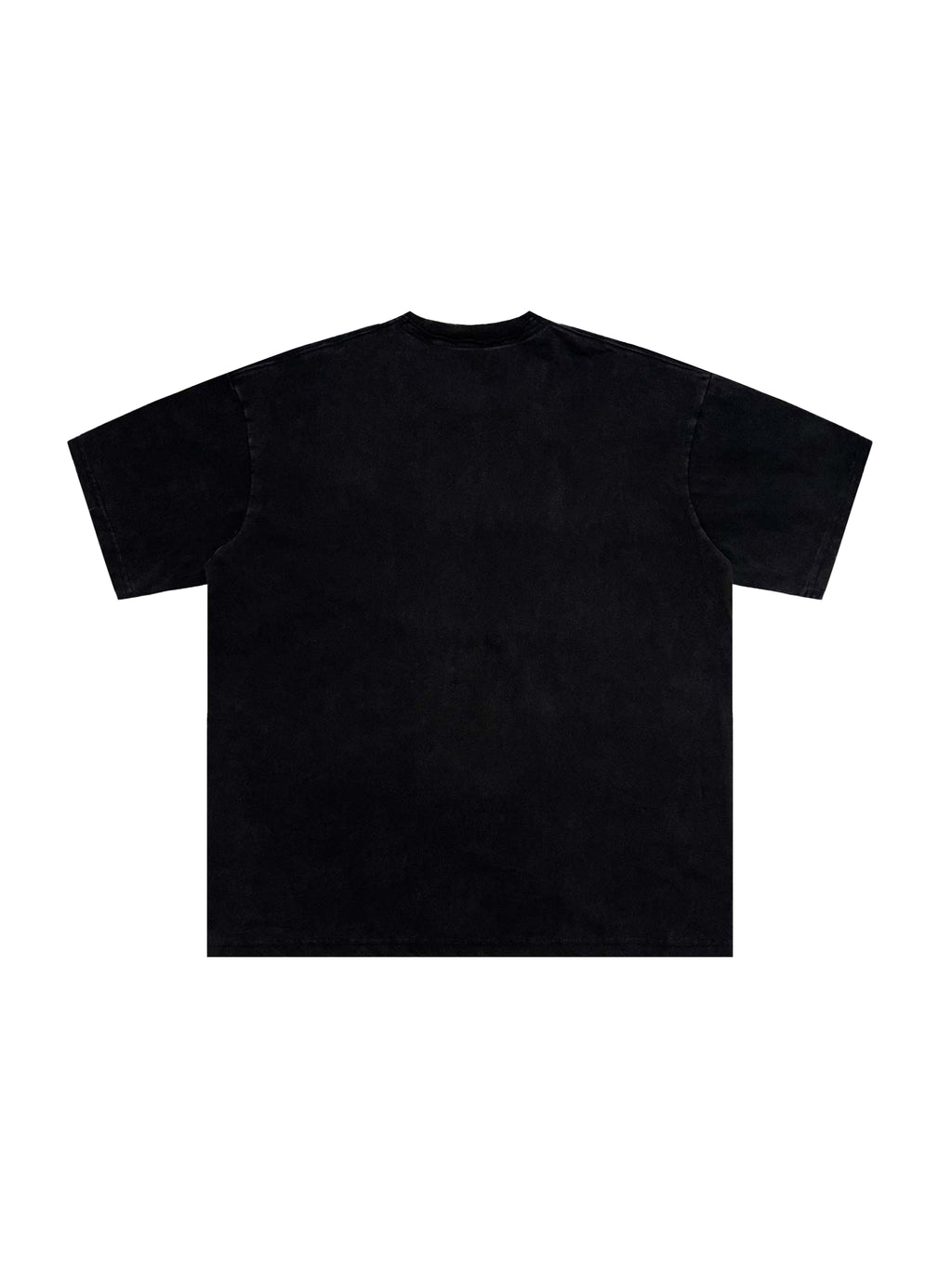 Snow Washed Raw-Edge Neckline T-Shirt source image 18
