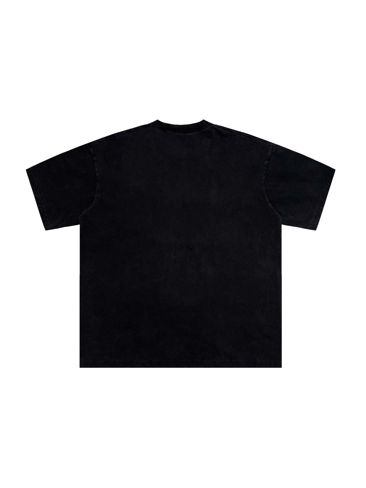 Snow Washed Raw-Edge Neckline T-Shirt source image 18