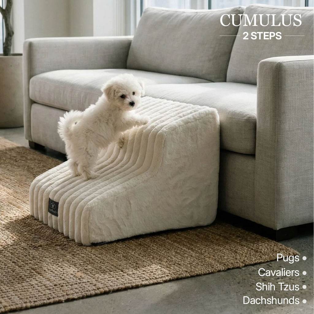 CloudPaws Comfort Stairs - Small Dog