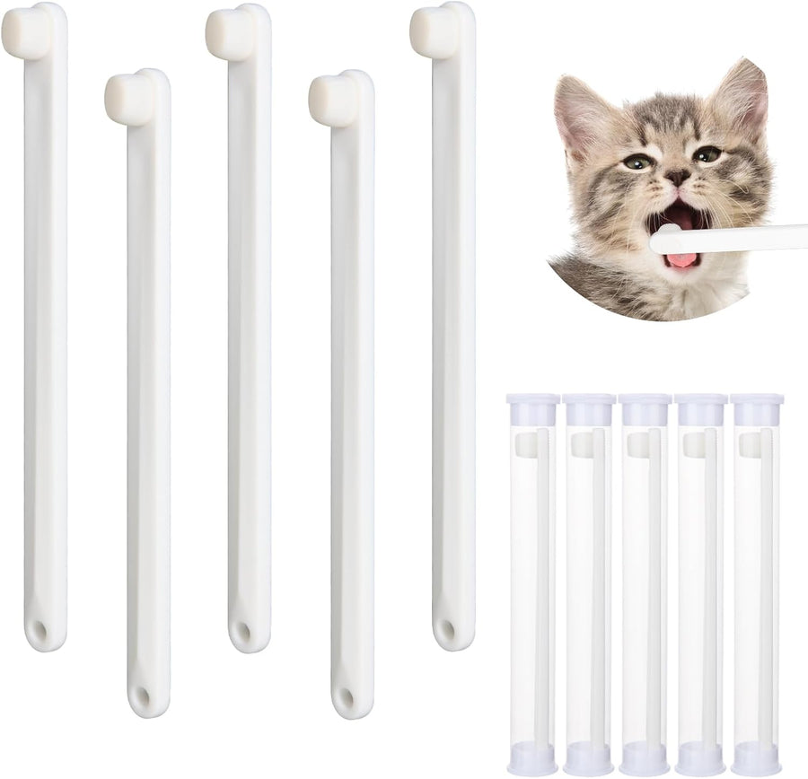 Pet Oral Care