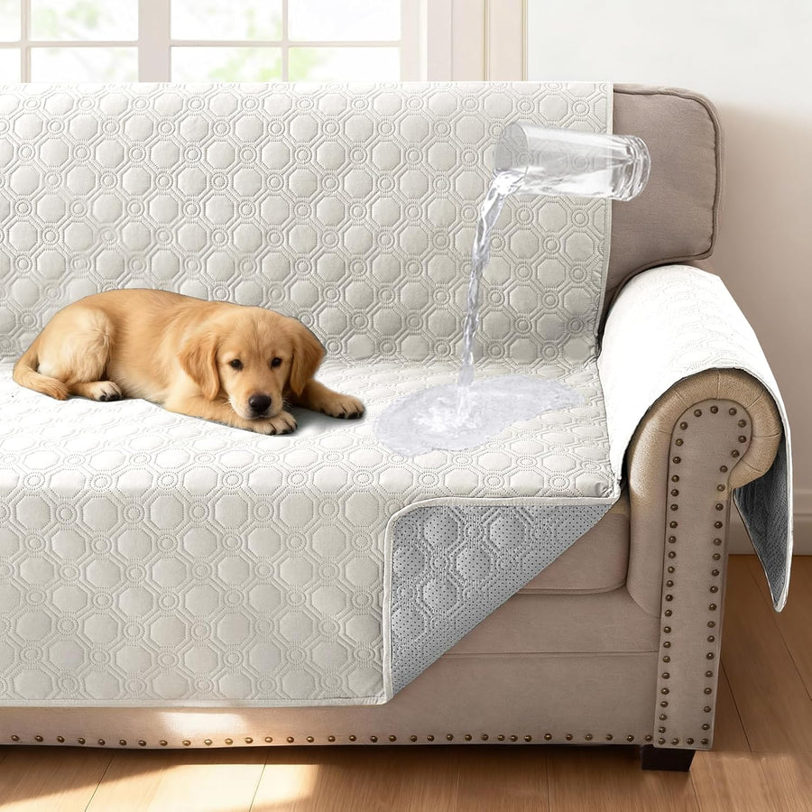 Pet Accessories