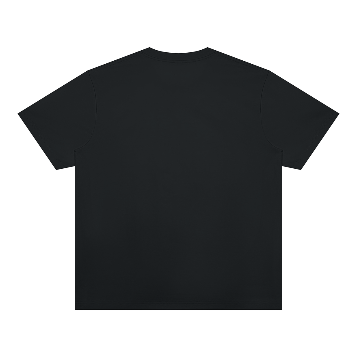 Black Unisex Heavyweight Sorona T-Shirt back product view