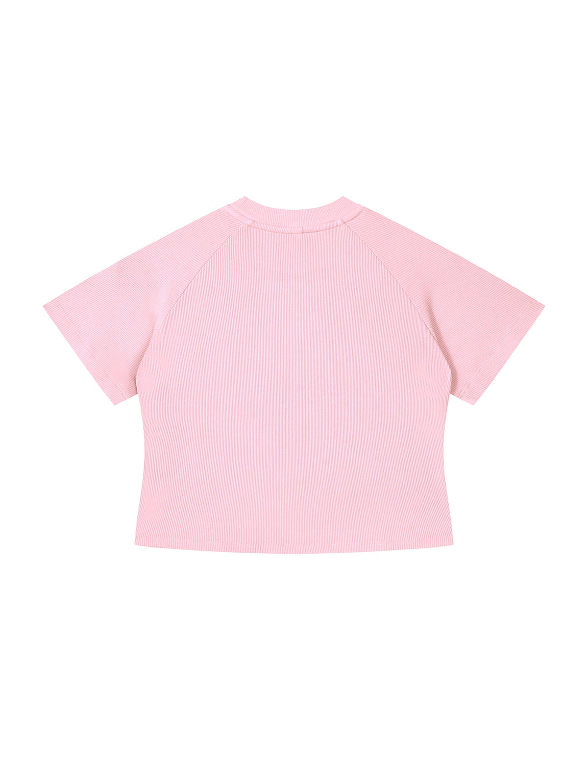 Women's Mineral Wash Crop T-Shirt