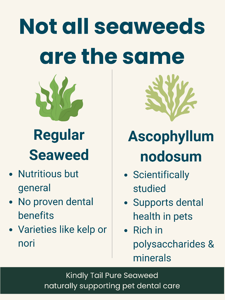 Pure Seaweed Organic Dental Health Care for Dog and Cat