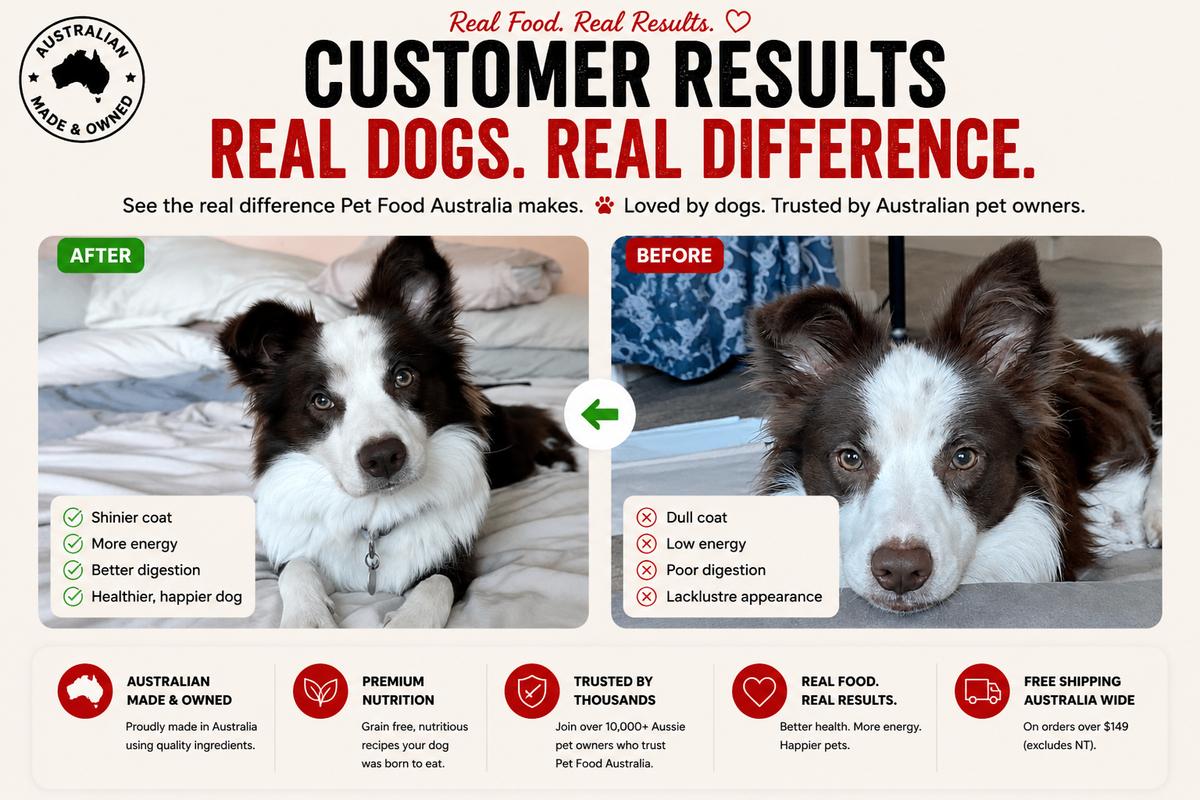Turkey Dog Food Collective