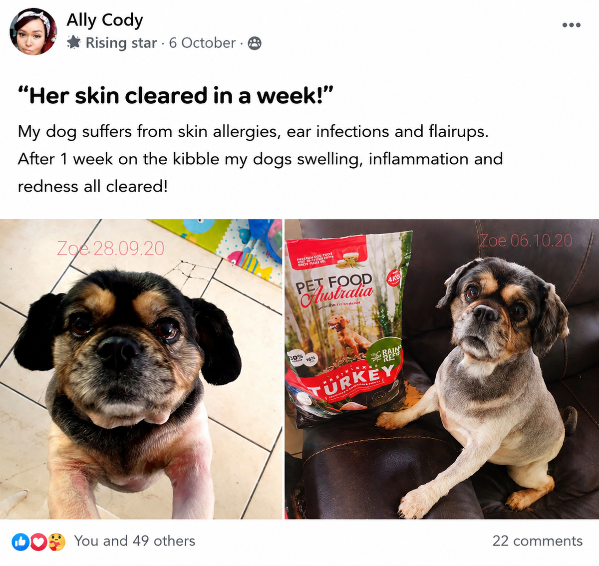 Kangaroo & Ocean Fish Dry Food Collective