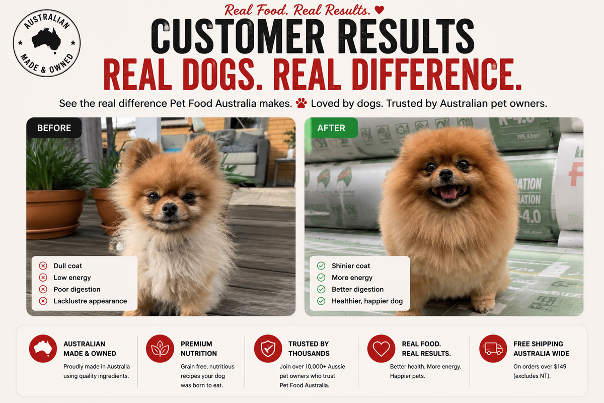 Turkey & Lamb - Low Fat Collective