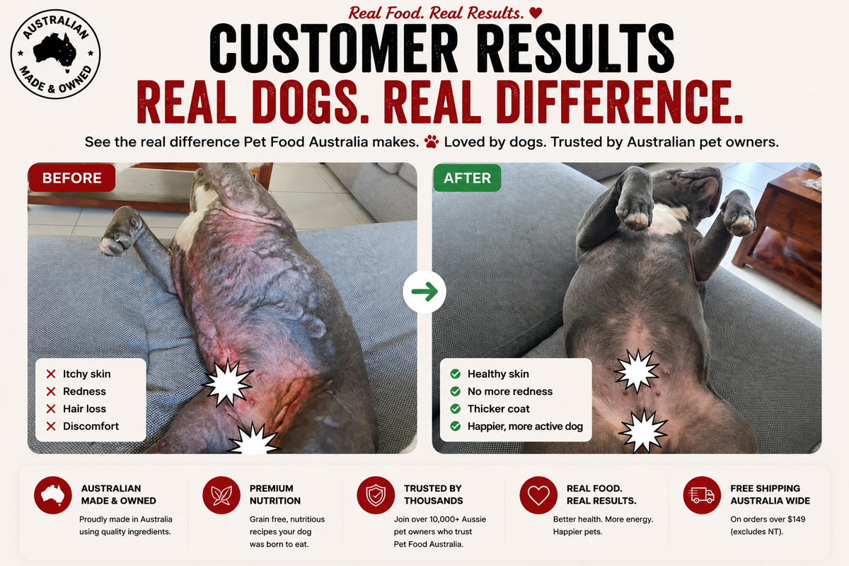 Turkey Dog Food Collective