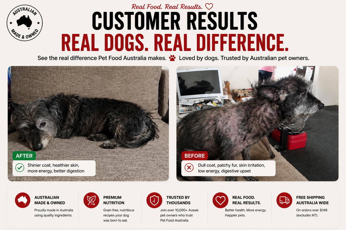Turkey Dog Food Collective