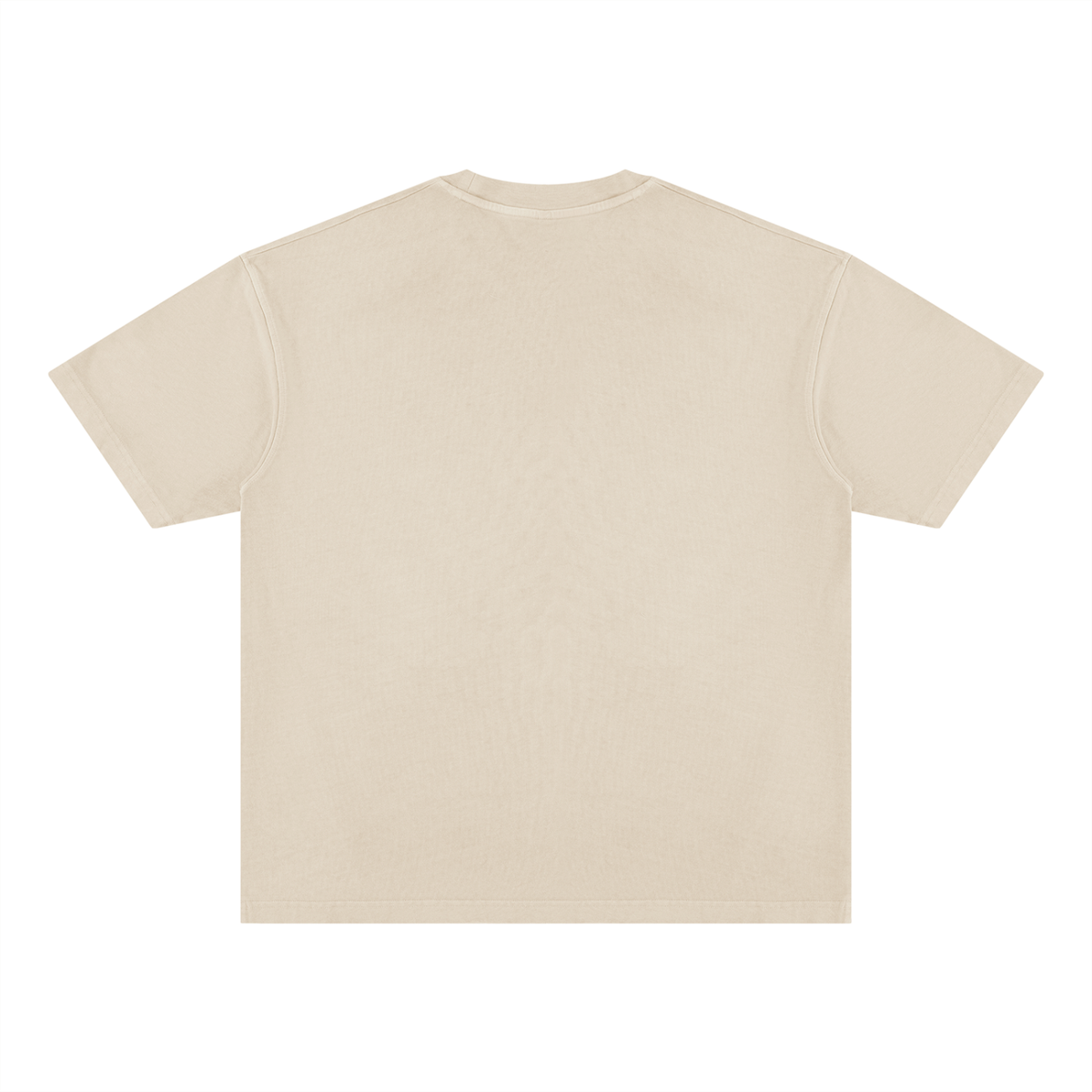 Unisex Vintage Wash Paneling T-Shirt