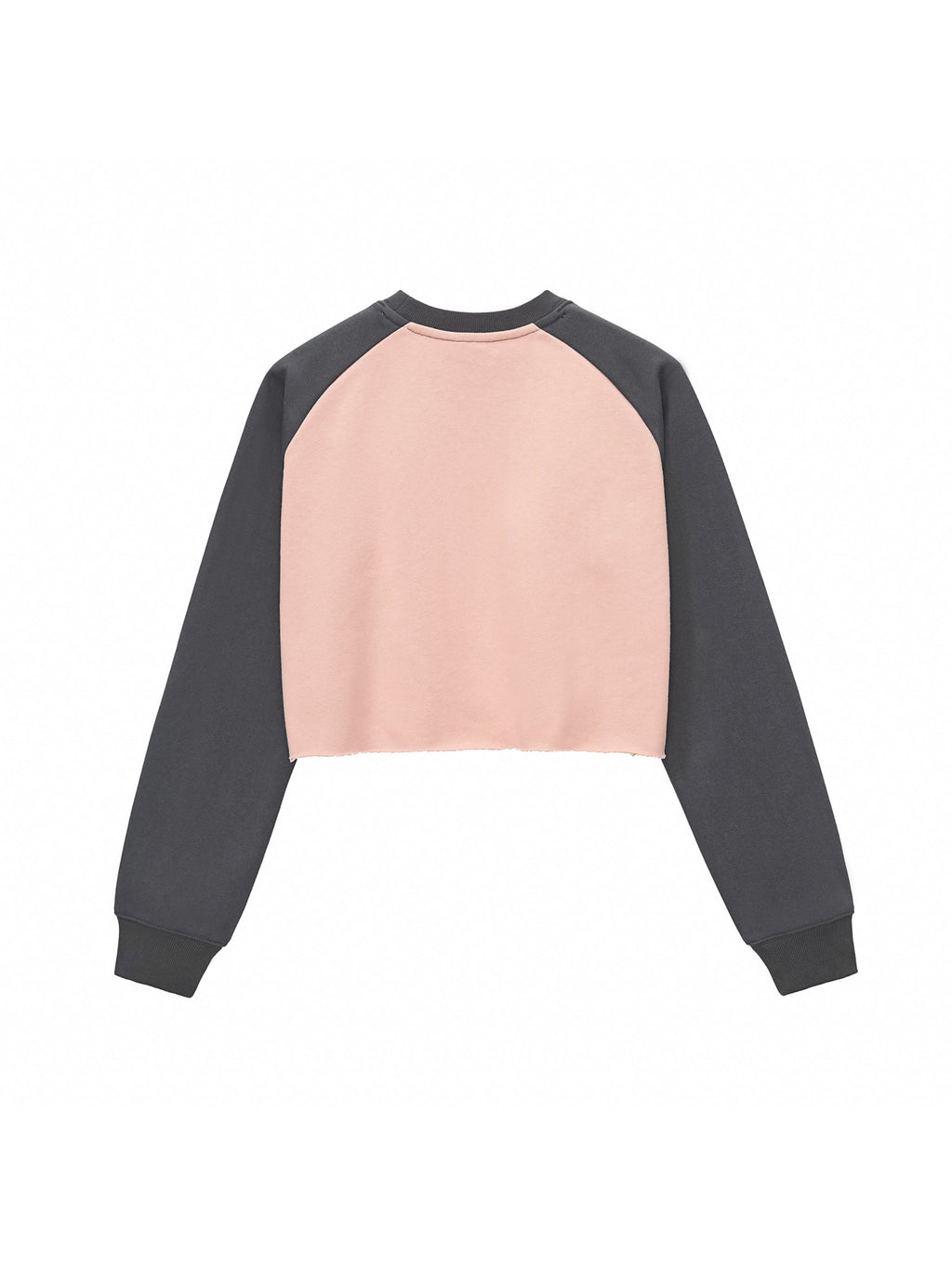 Raw-Hem Colour-Block Raglan Crop Sweatshirt
