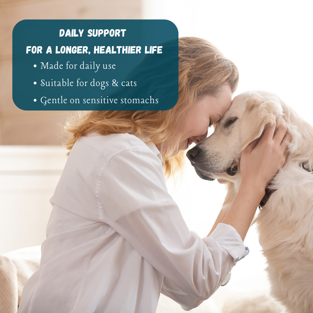 Vital 7 Organic Mushrooms Blend+ Ergothioneine For Dog and Cat