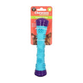 Aqua and purple floating squeaky throw stick dog toy
