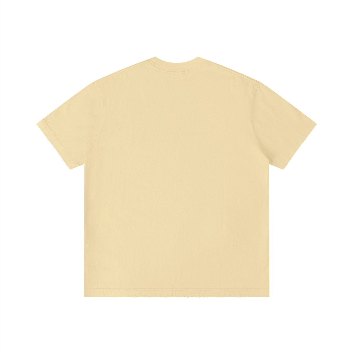 Unisex Vintage Wash Distressed T-Shirt