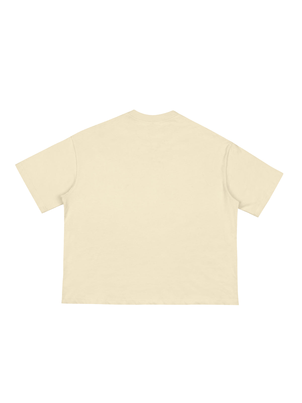 Classic Loose Boxy T-Shirt