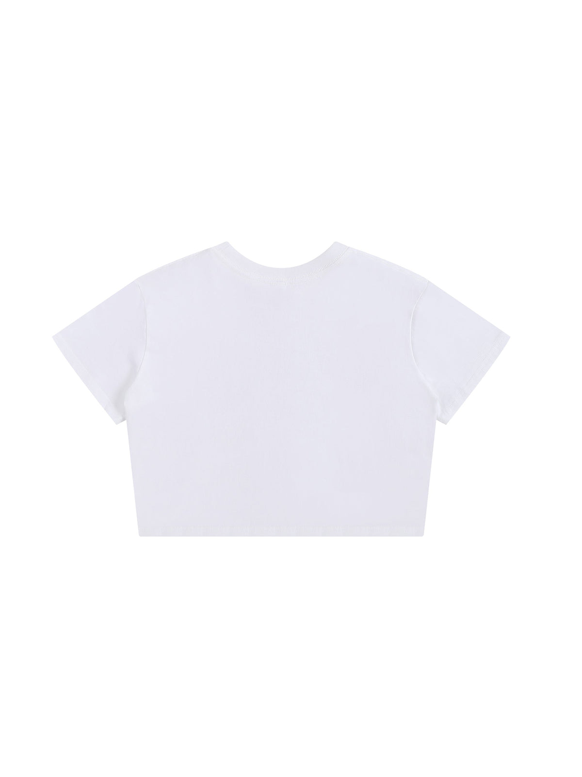 Women’s 200 GSM Seamless Baby T-Shirt gallery view