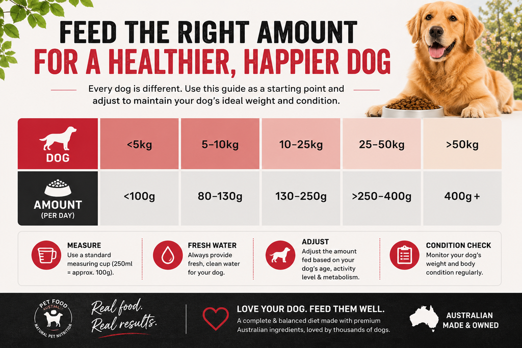 Kangaroo & Ocean Fish Dry Food Collective