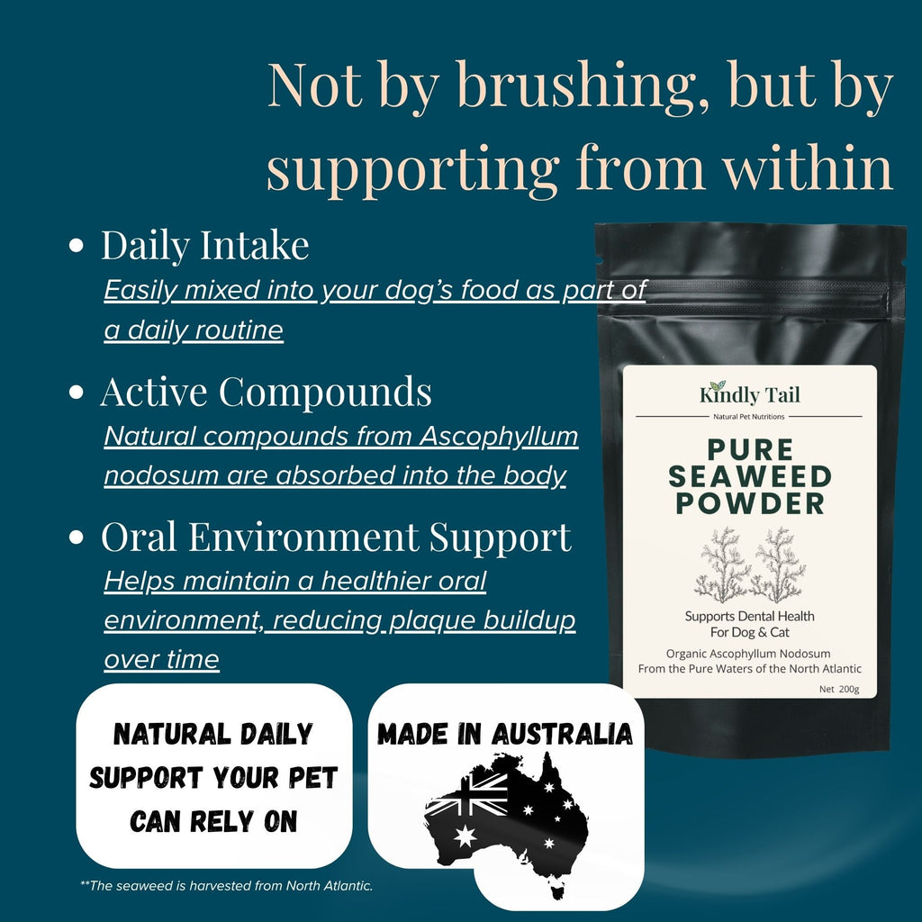 Pure Seaweed Organic Dental Health Care for Dog and Cat