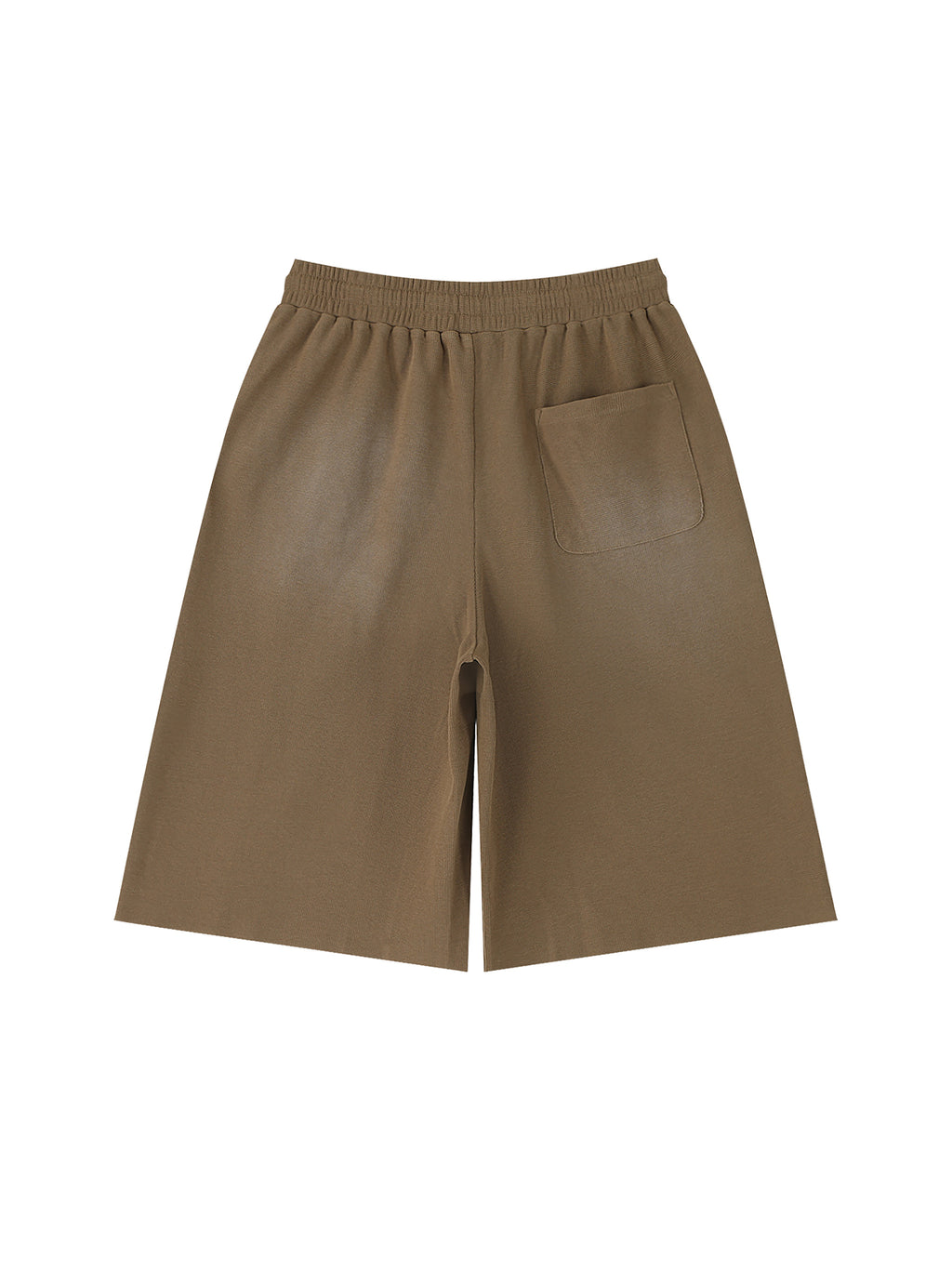 Off Script Unisex Sunfade Raw Edge Shorts Coffee back view