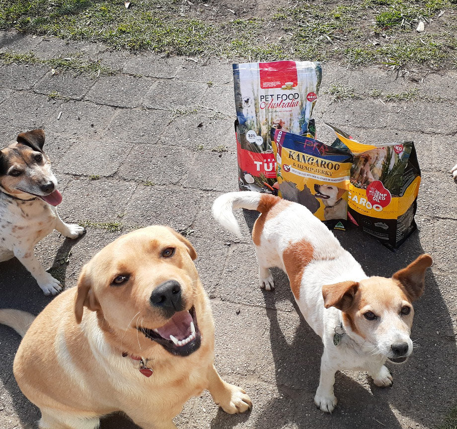 Kangaroo & Ocean Fish Dry Food Collective
