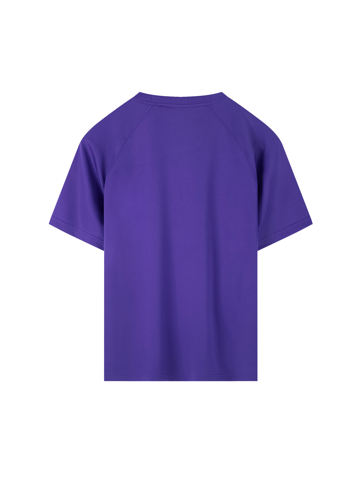 Raglan Sleeve Mesh T-Shirt gallery image 2