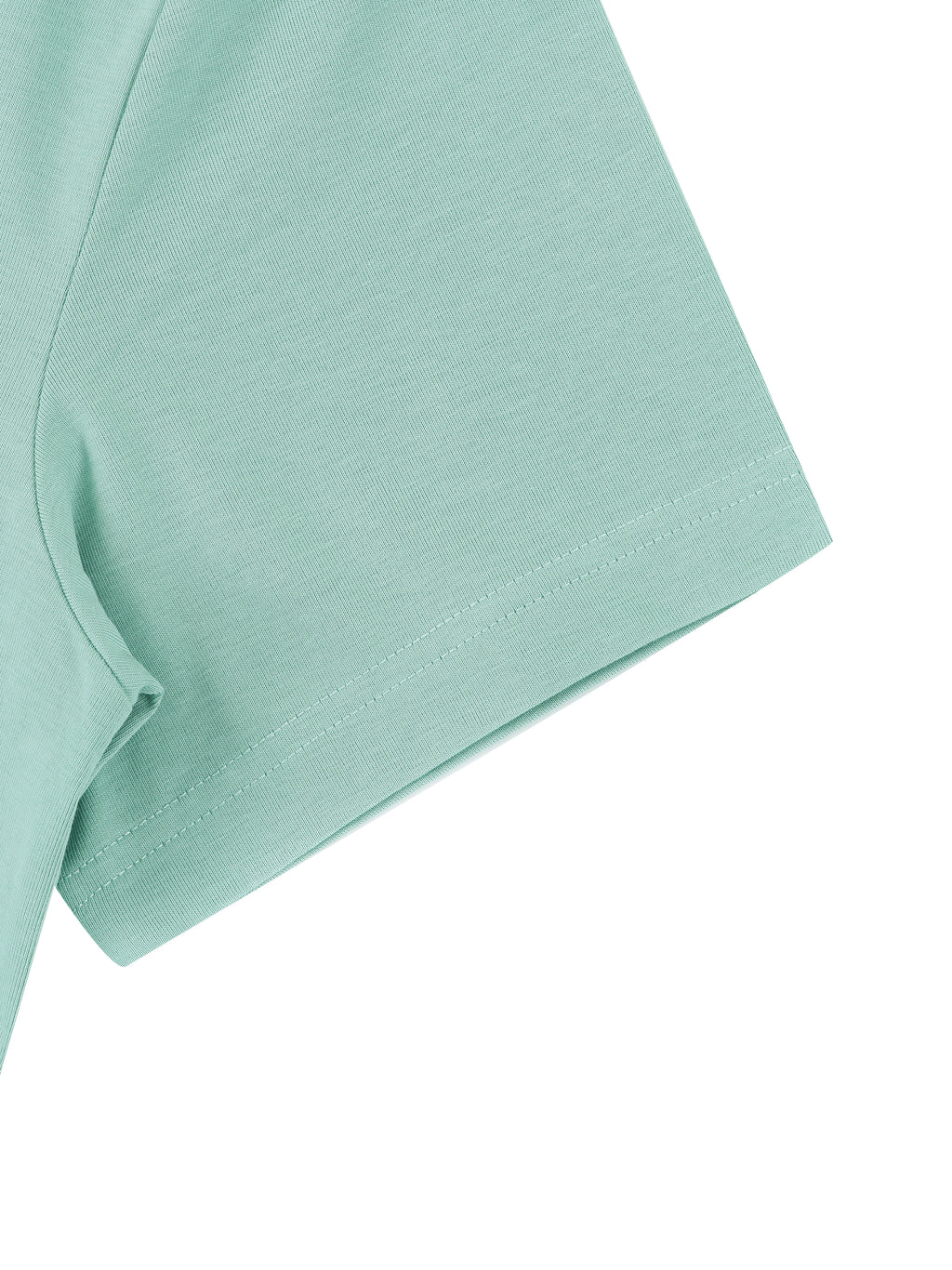 Off Script Regular Fit Crewneck T-Shirt - Mint Green detail view 2