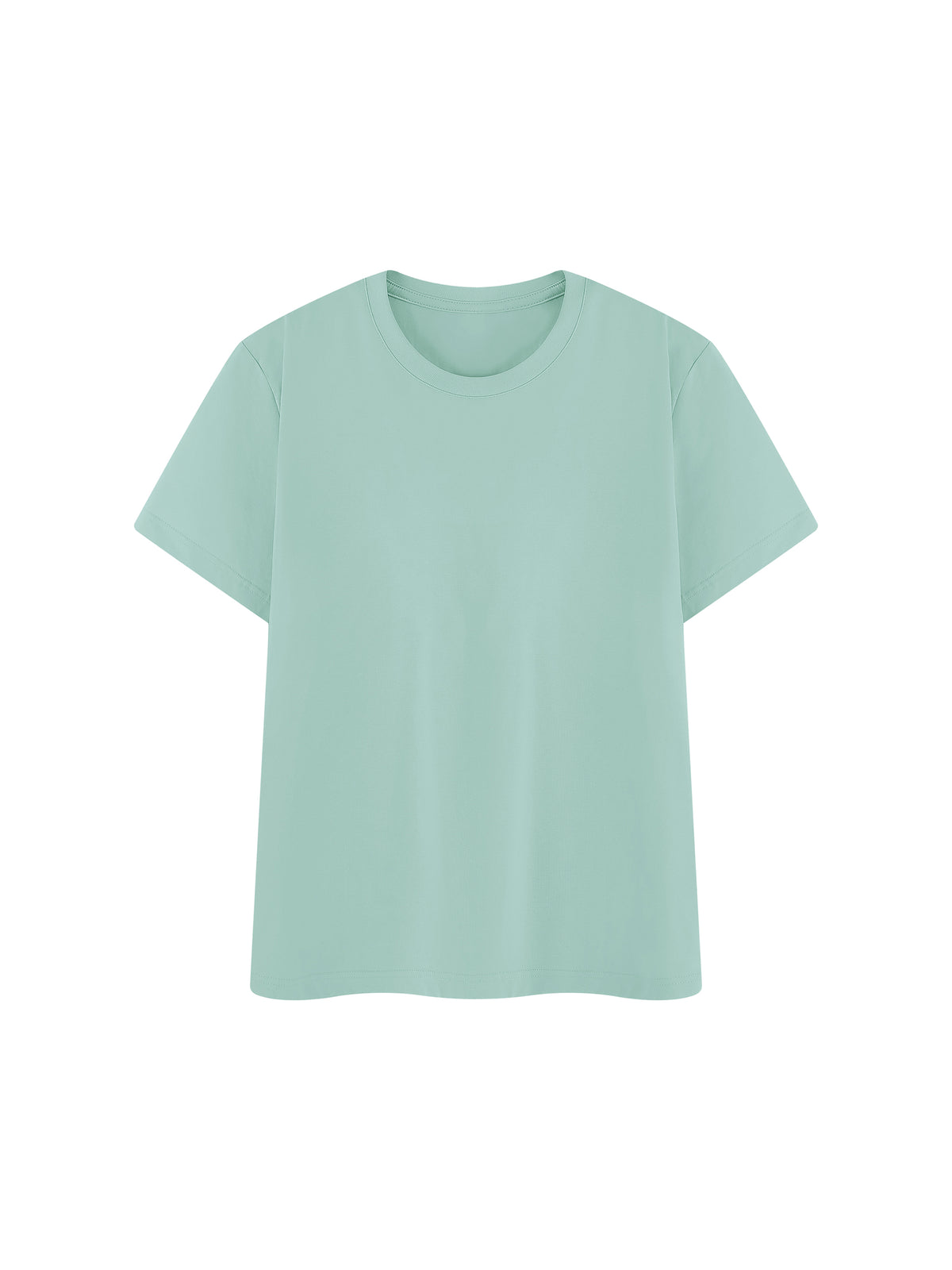 Off Script Regular Fit Crewneck T-Shirt - Mint Green front view