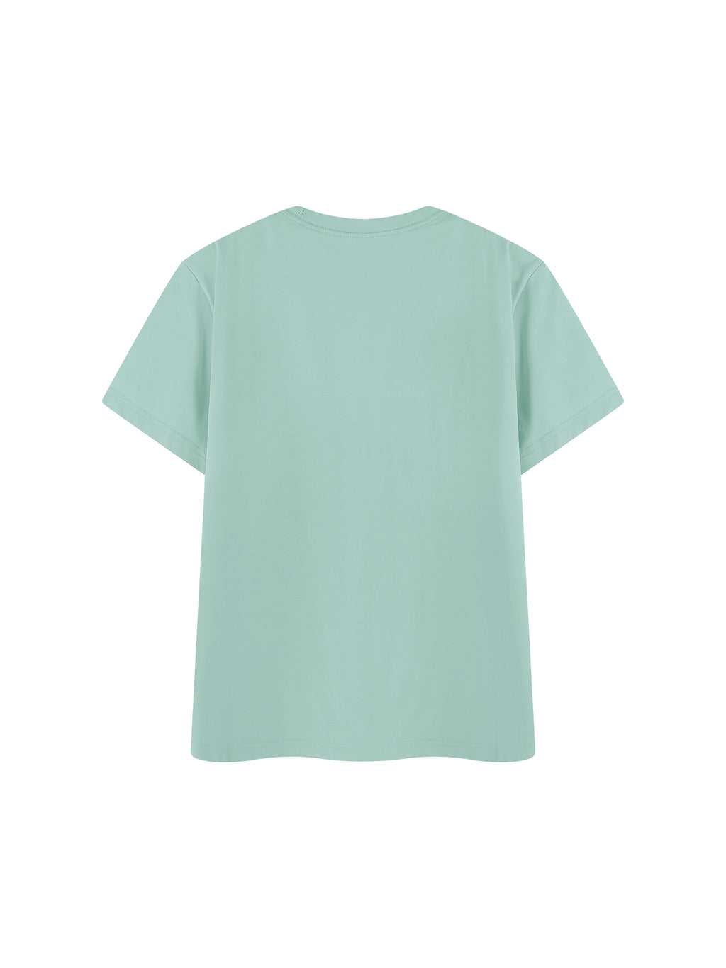 Off Script Regular Fit Crewneck T-Shirt - Mint Green back view